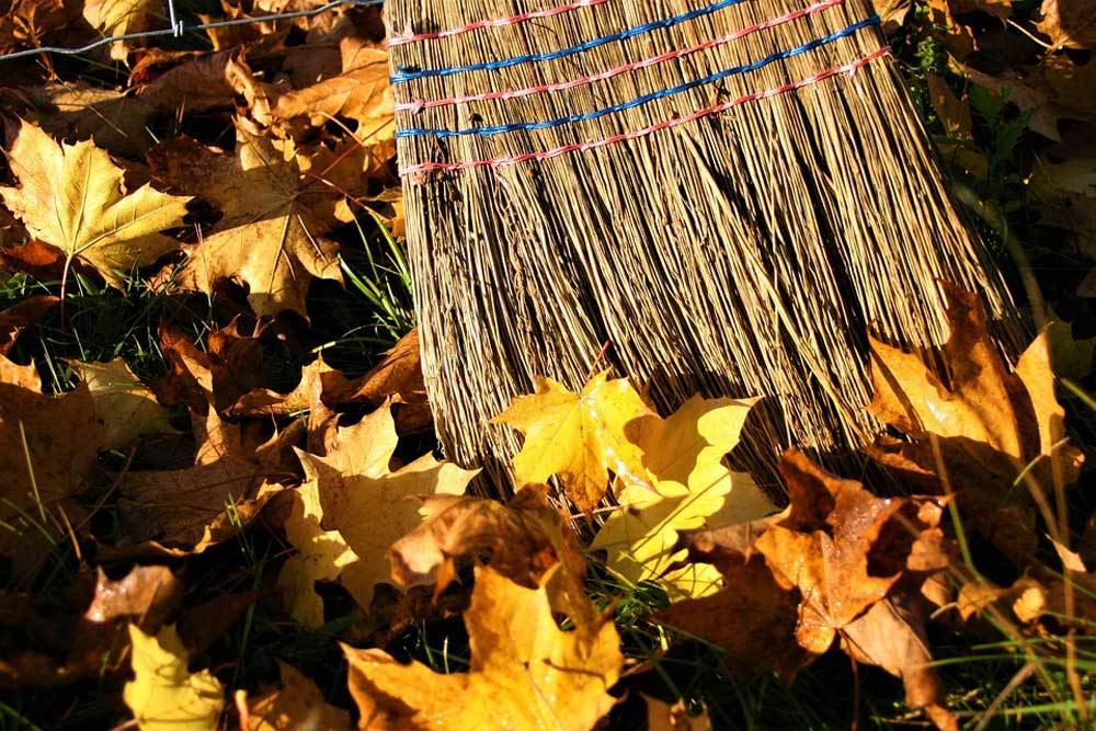 Leaf-Cleanup-Tips Leaf Cleanup Tips