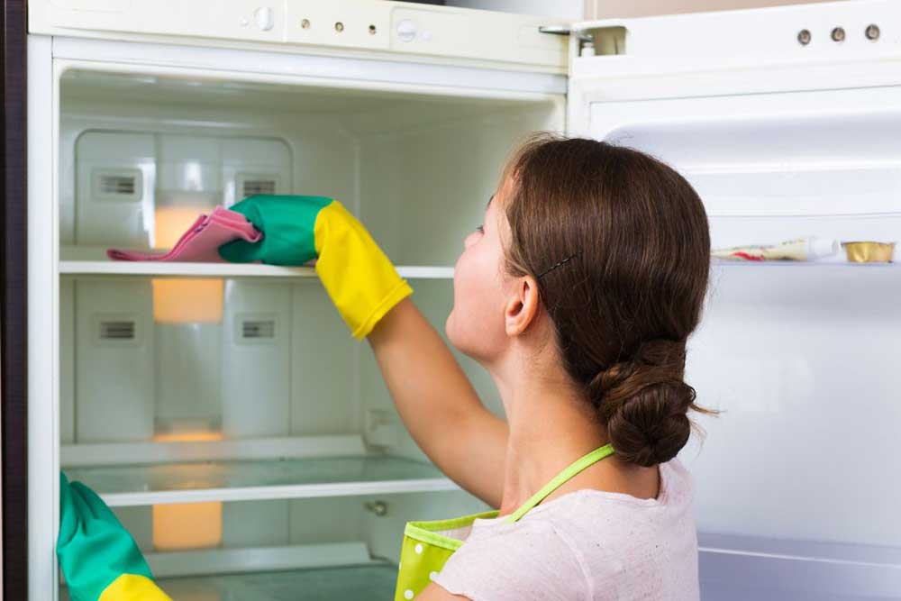 Spotless-and-Fresh-Smelling-Refrigerator
